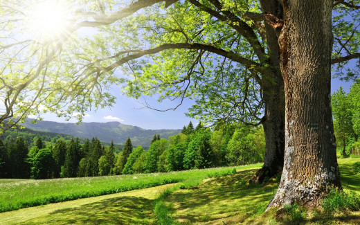 506416 (a): :2560x1600